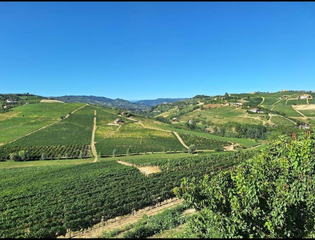 Agriturismo Vecchio Torchio 카넬리 외부 사진
