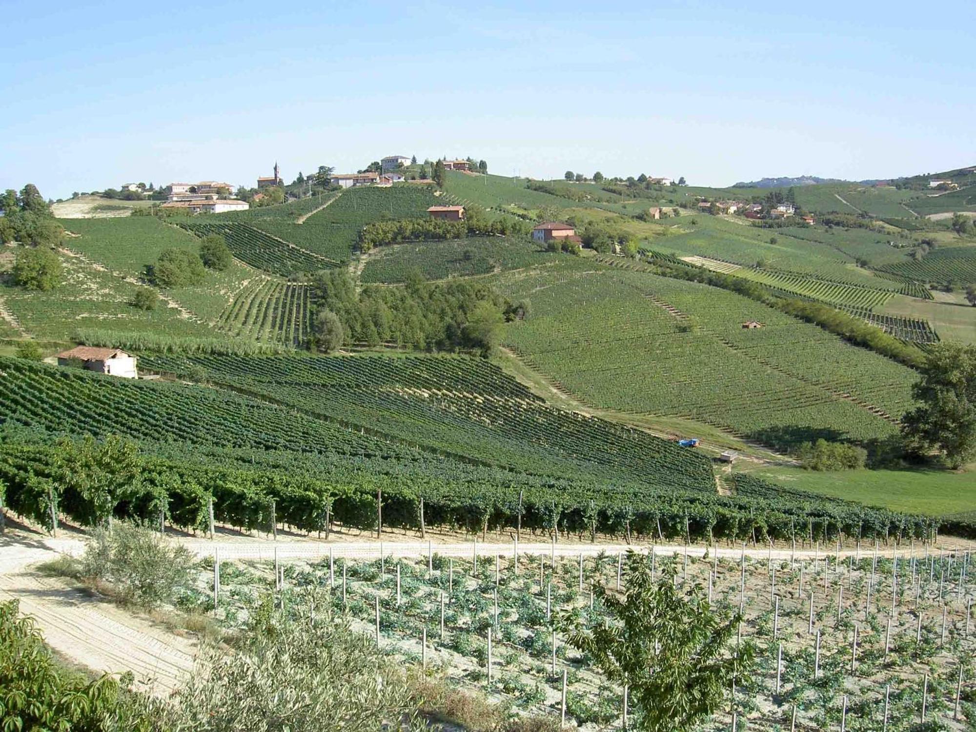 카넬리 Agriturismo Vecchio Torchio 빌라 외부 사진