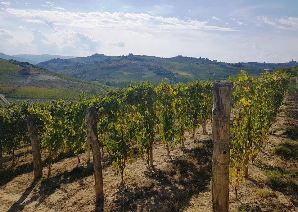 Agriturismo Vecchio Torchio 카넬리 외부 사진